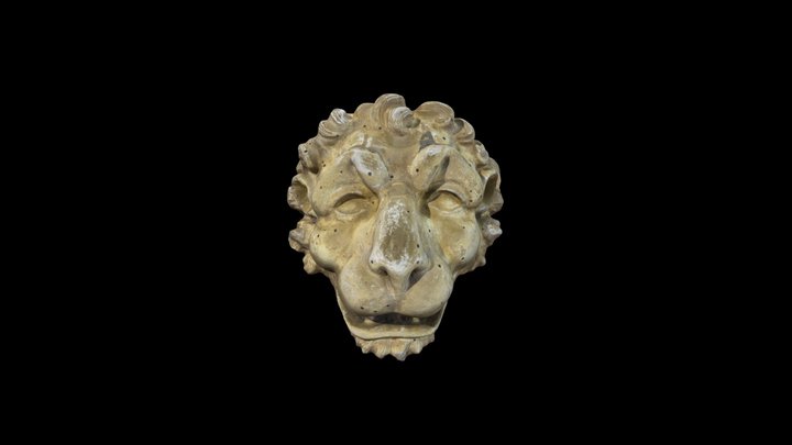 Testa di Leone / Lion's head 3D Model
