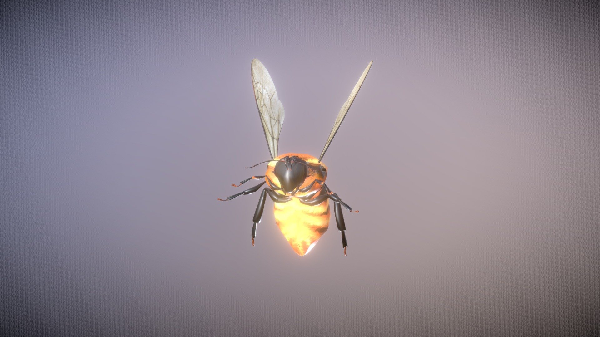 Bombus dahlbomii