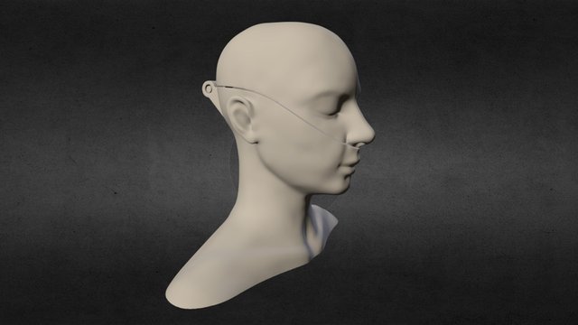 Female Head Box 3D Model