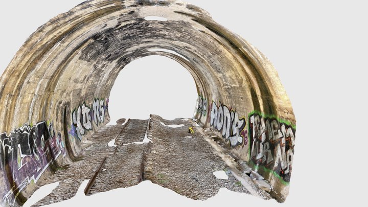 Túnel pendón scan 4 (tramo 1) 3D Model