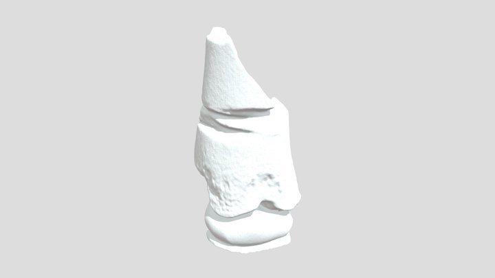 Sarabay2 3D Model