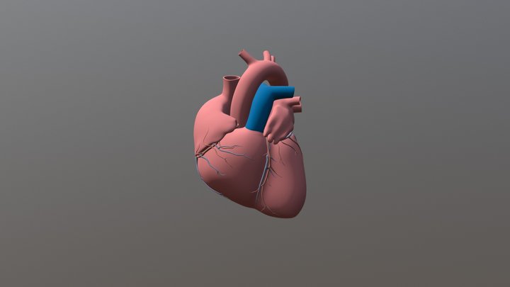 NEW FULL MODEL HEARTBEAT 3D Model