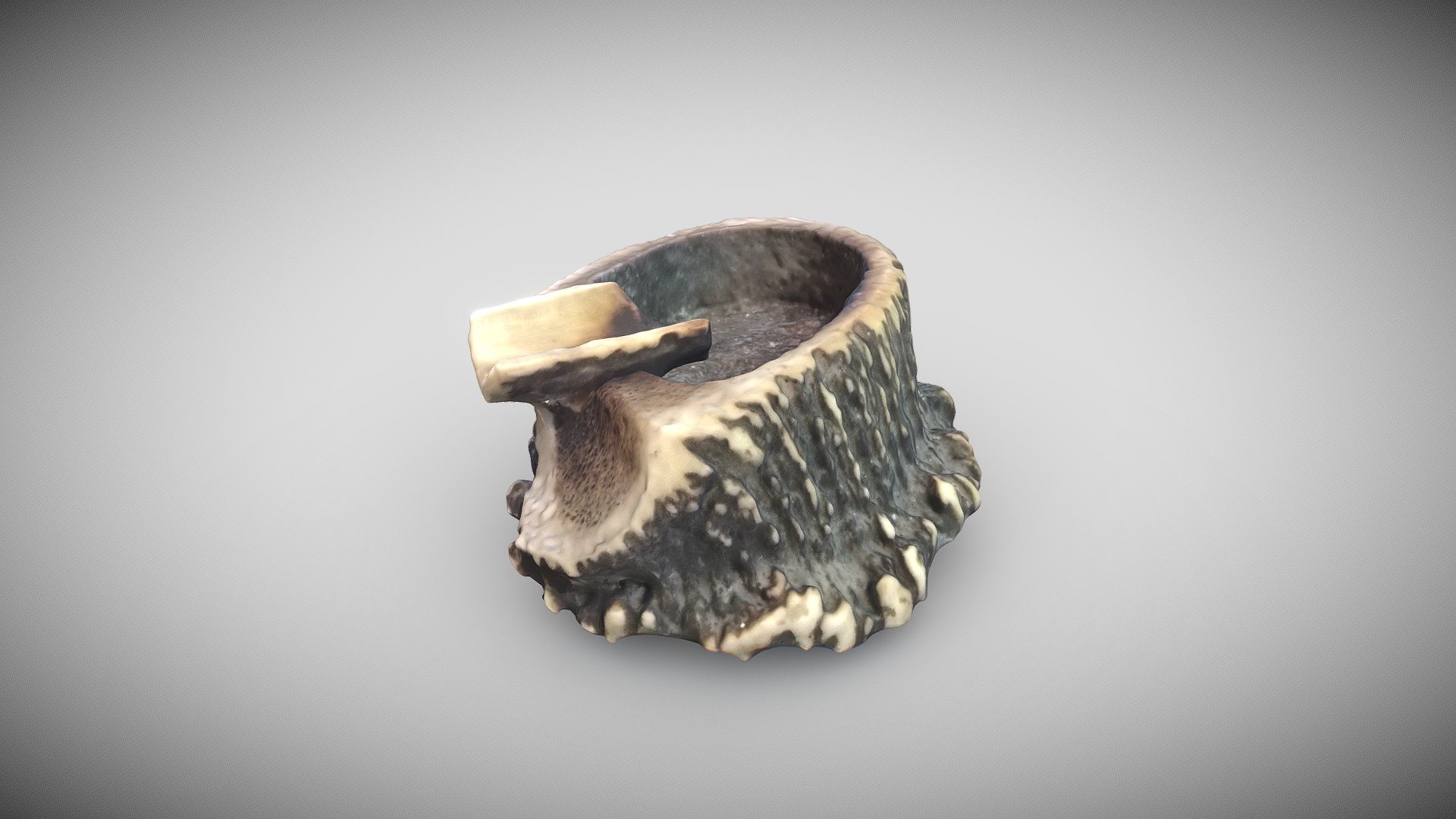 Deer Horn Ashtray