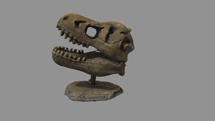 P1_T1_M3 3D Model