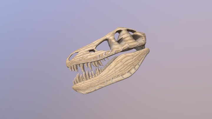 Craneo de T-Rex 3D Model