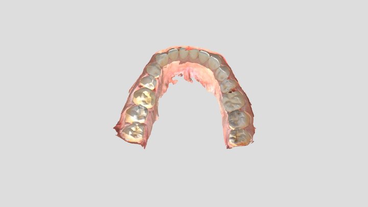 Empreinte optique mandibulaire 3D Model