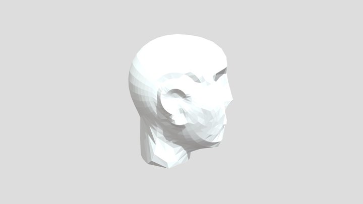 Basic Human Head for Sculpting 3D Model