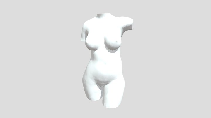 Final 3d modelled body 3D Model