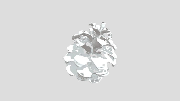 Archive 3D Model