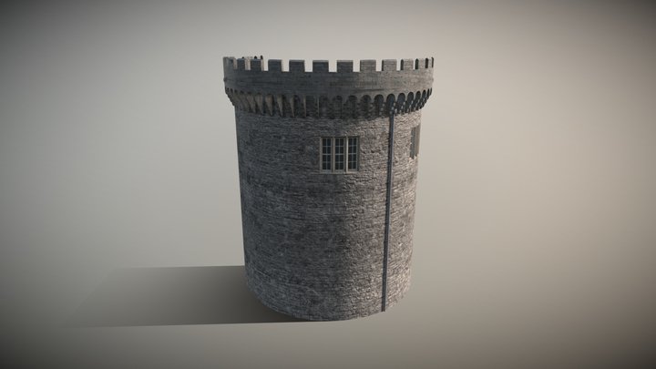 Dublin Castle RecordTower Cross Section Animated 3D Model