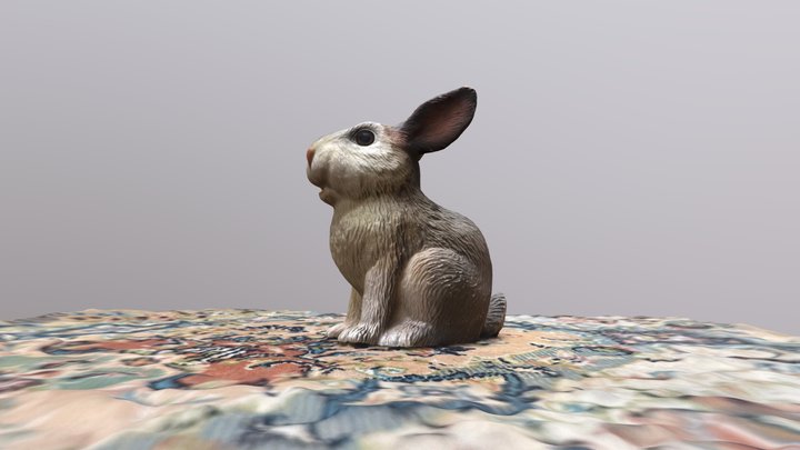 Bunny scan 3D Model