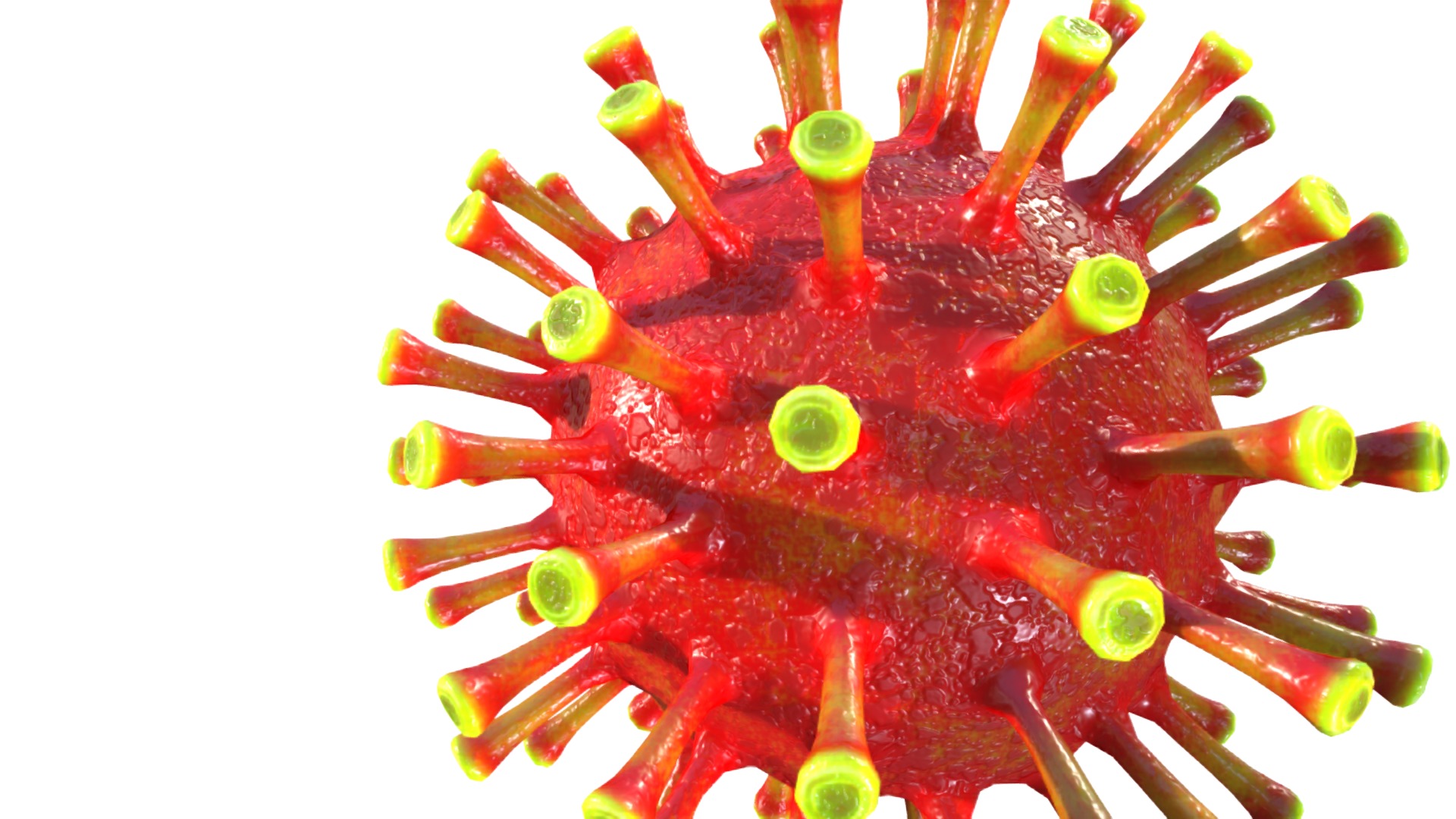 3D model Corona Virus Covid 19 - This is a 3D model of the Corona Virus Covid 19. The 3D model is about a red and yellow octopus.