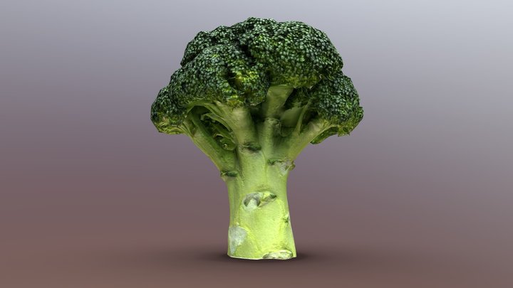 (Game-Ready Free) Broccoli 3D Model