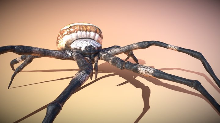 Spoder – Kostenloses 3D-Modell STL