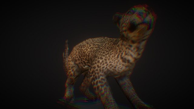 Leopardo 3D Model