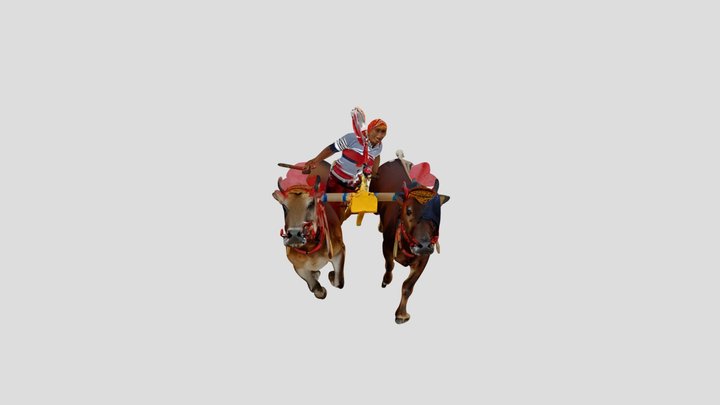 Karapan Sapi Madura 3D Model