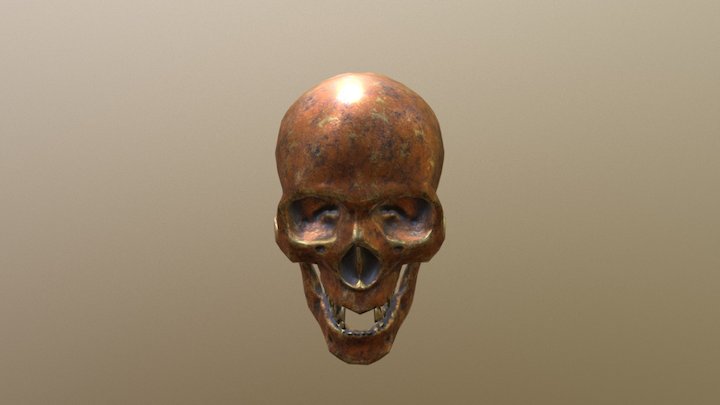 Skull Texture 3D Model