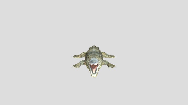 Happy Crocodile 3D Model