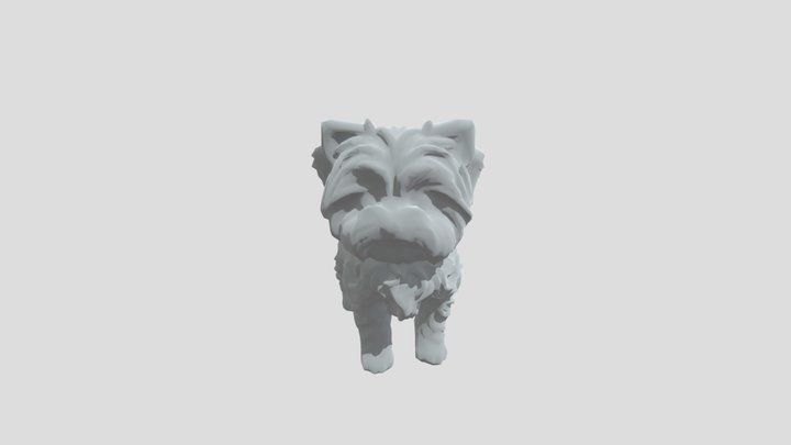 Maltese,dog,idle pose,white 3D Model