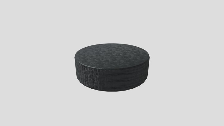 Hockey Puck, Compulsory 03 3D Model