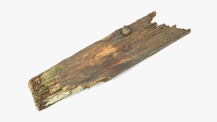Rotten Plank Short Broken 3D Model