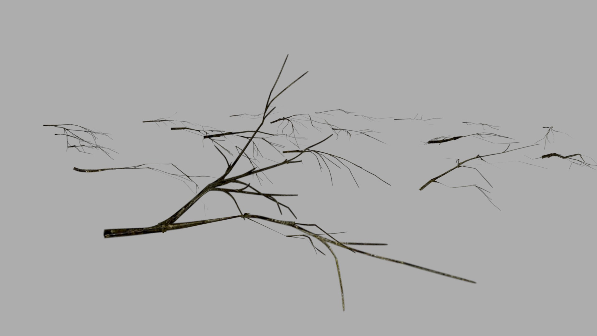 3D model 21 twigs 1 texture - This is a 3D model of the 21 twigs 1 texture. The 3D model is about a tree with no leaves.