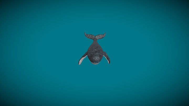Salto3 3D Model