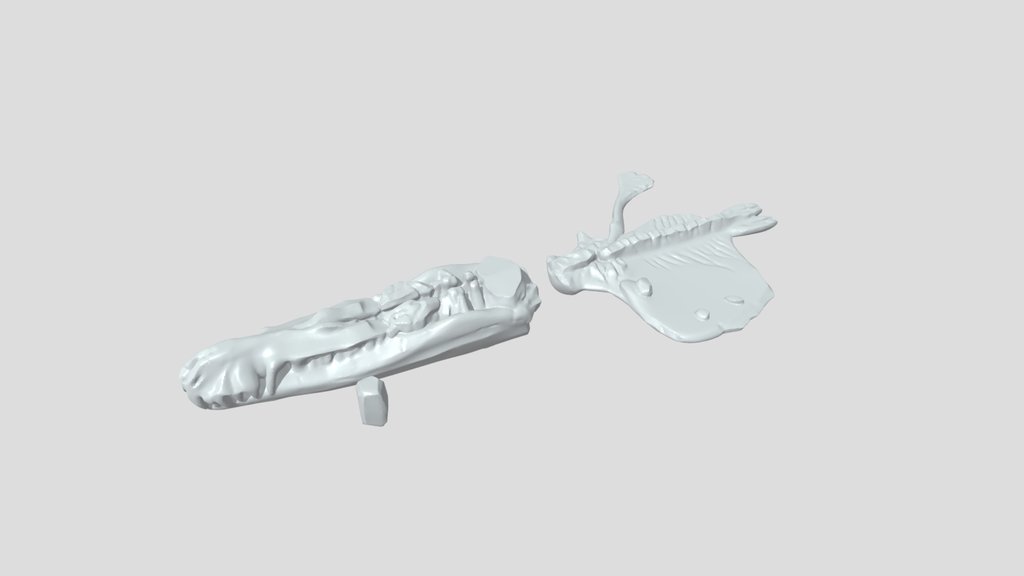 A high-quality 3D model