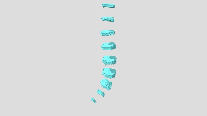 Spinal Cord [discs] 3D Model