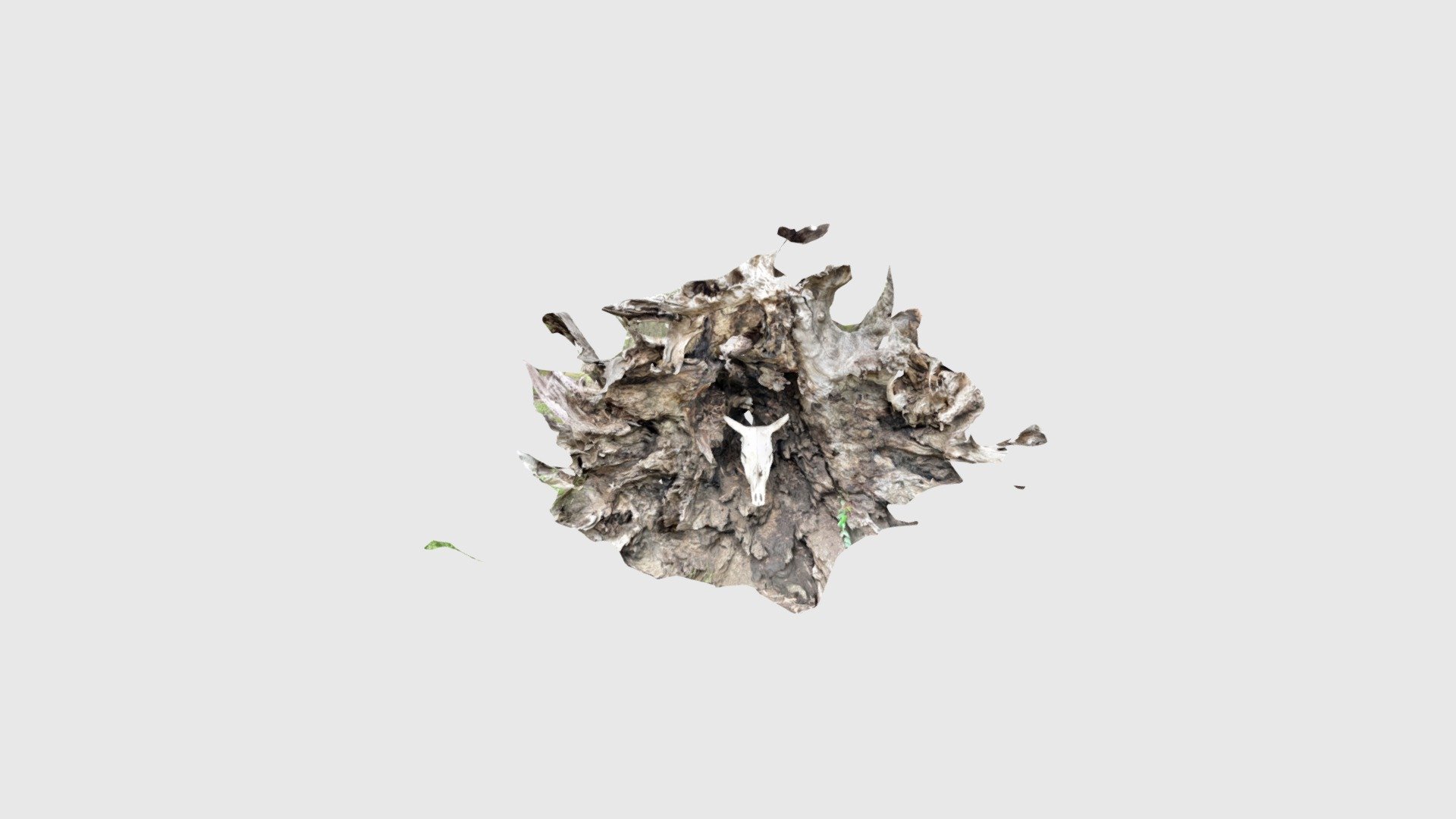 Steve tree skull