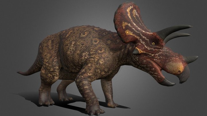 Triceratops 3D Model
