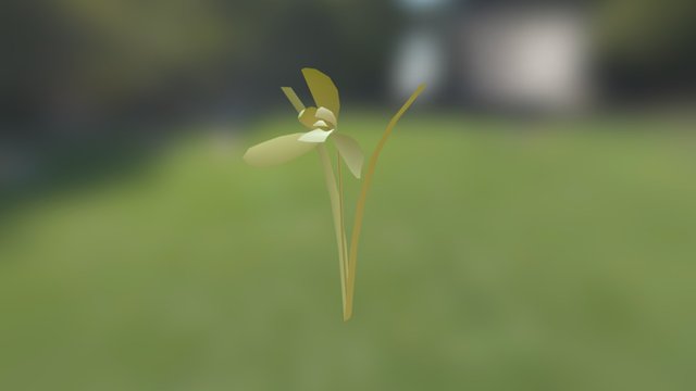 LOW_MODEL_05 3D Model