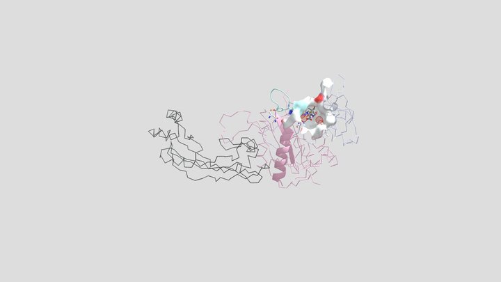 P.Aeruginosa’s PBP3 interactions with Meropenem 3D Model