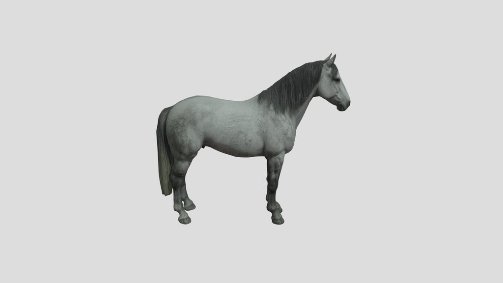 Realistic Horse - Low Poly Game Ready Asset
