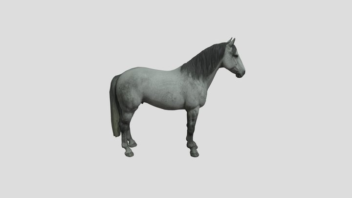 Realistic Horse - Low Poly Game Ready Asset 3D Model