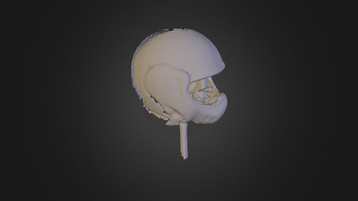Crash Helmet 1 3D Model