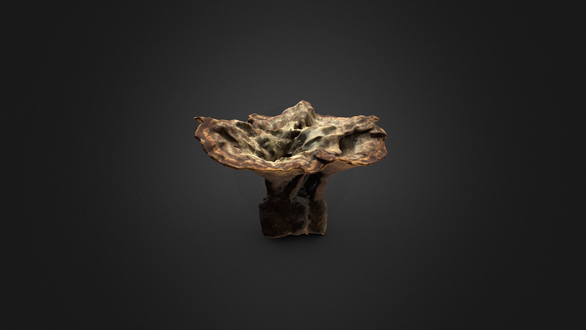 Tiger's Eye Mushroom