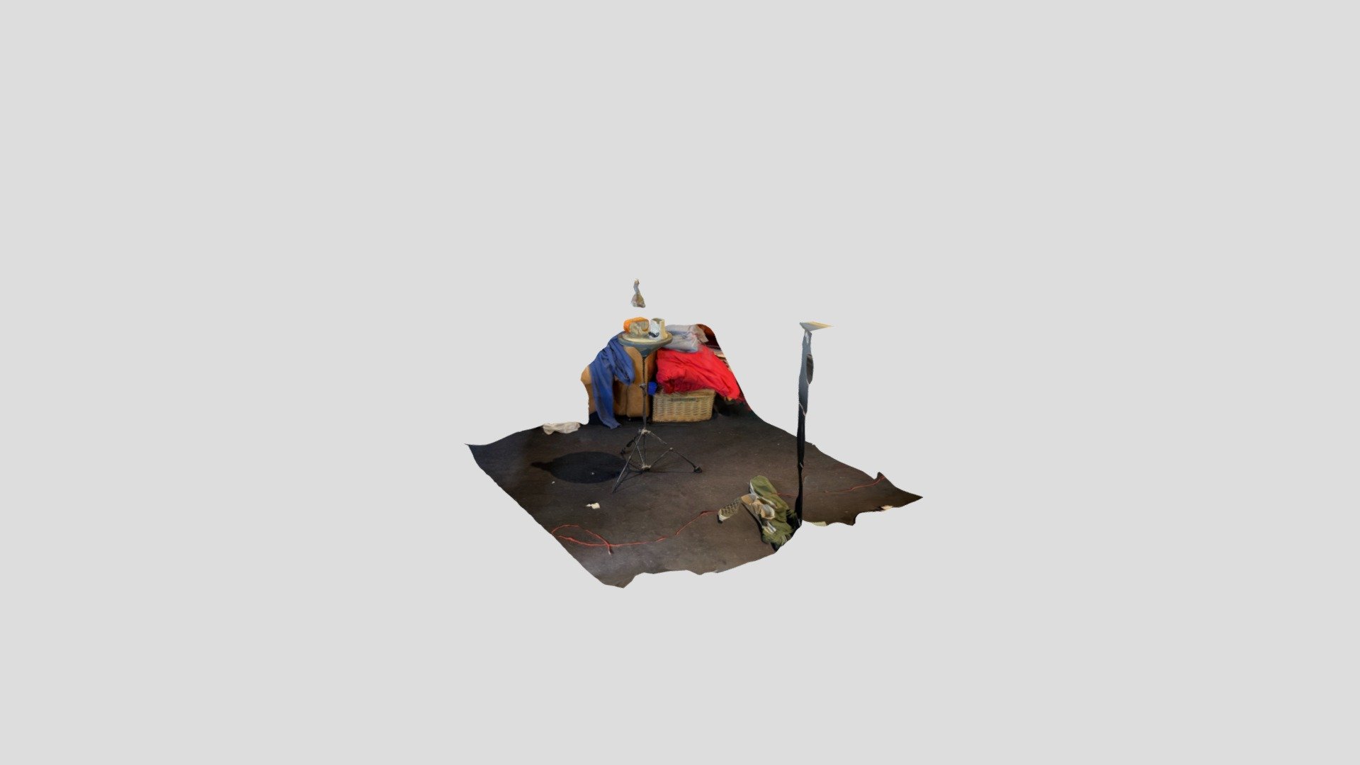 Polycam capture