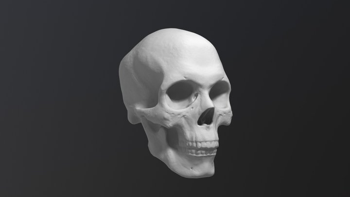 Tougu 3D Model