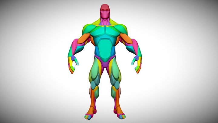 Stylized Anatomy V2 3D Model