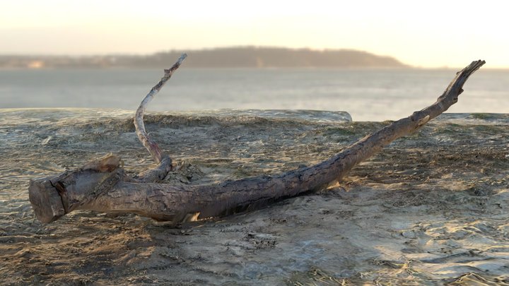 Forked Branch – Modèle 3D gratuit STL