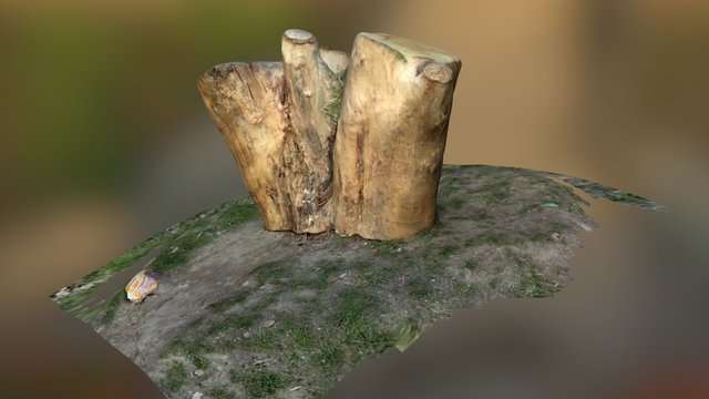Tree1 3D Model