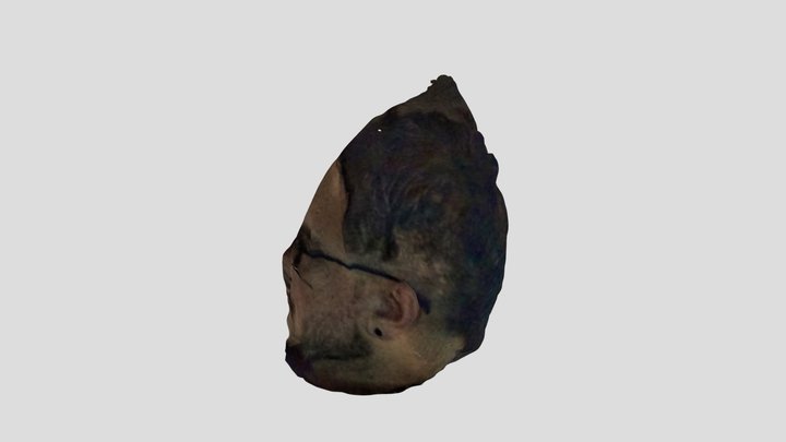 Head 3 3D Model