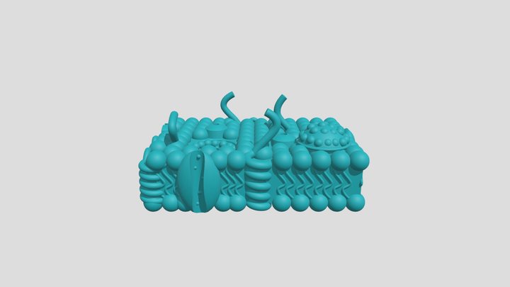 Bicapa lipídica celular 3D Model
