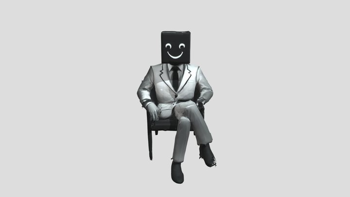 Pixel Persona 3D Model