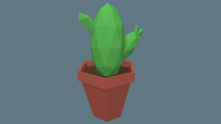 Potted Cactus 3D Model
