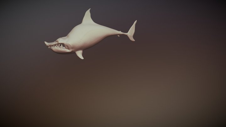 Stylized Shark 3D Model