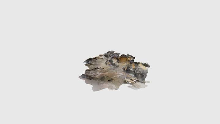 Rock caves 3D Model
