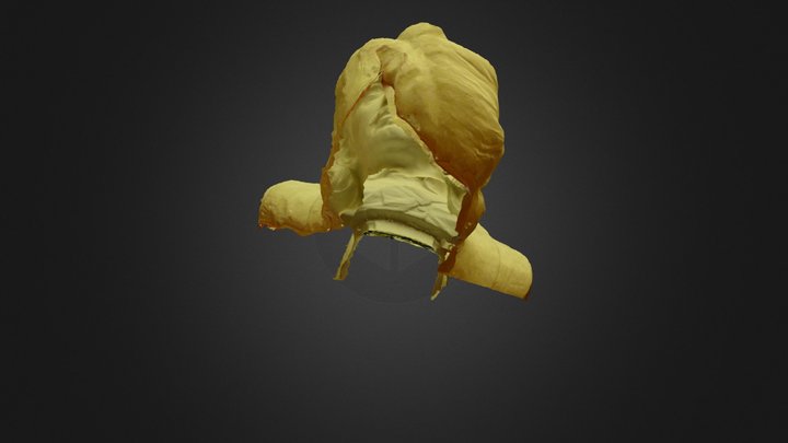 CROMWELL 3D Model