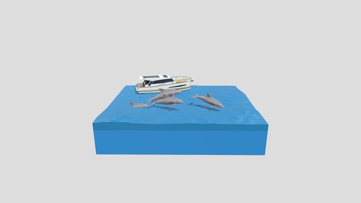 dolphins 3D Model